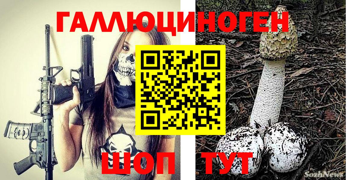 Аксай  Галлюциногенные грибы MAGIC MUSHROOMS  Вход с VPN  Псилоцибиновые грибы Magic Shrooms 